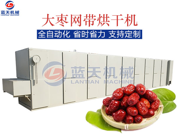 大棗網(wǎng)帶烘干機(jī)